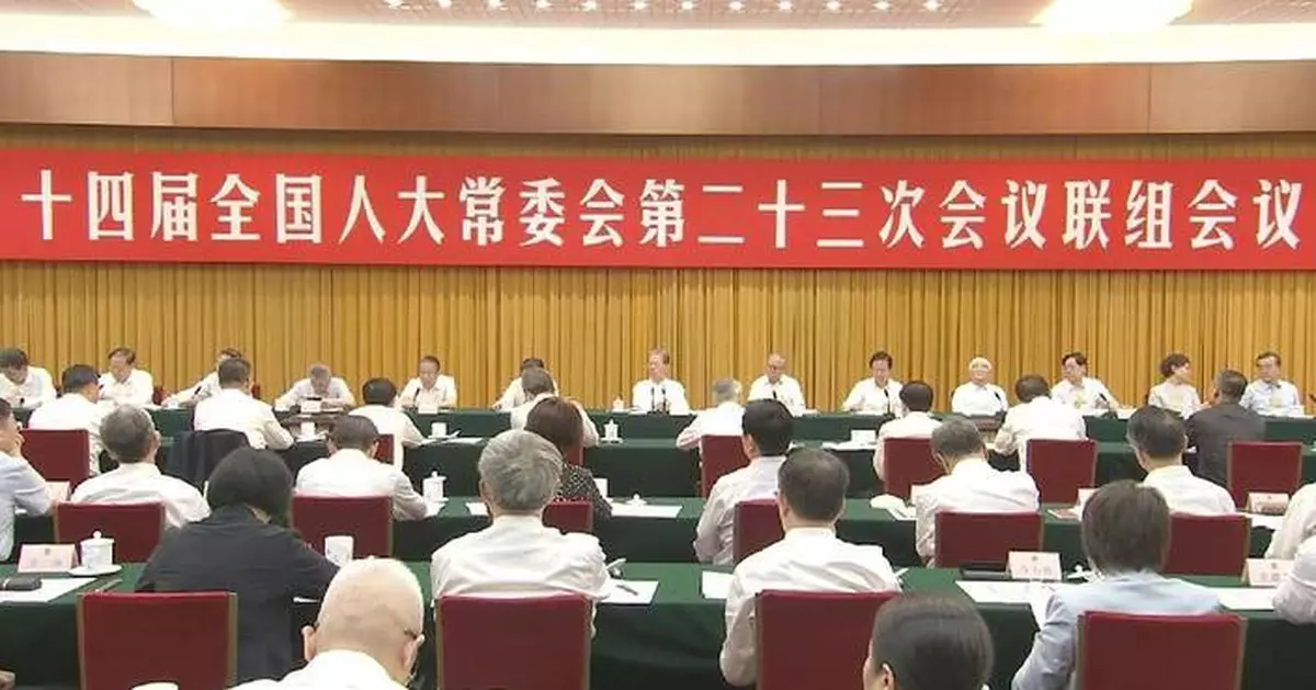 全國人大常委會審議建設全國統一大市場報告