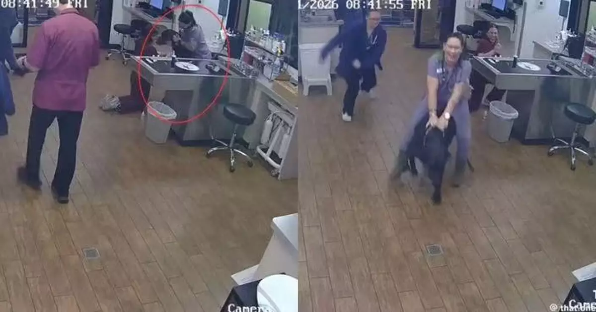 大丹犬看診受驚暴衝 獸醫助理嘗試固定被迫「騎狗」衝出診症室惹爆笑