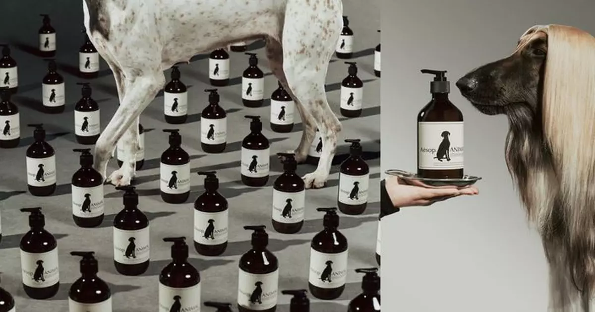 Aesop 寵物清潔露登陸香港  限定毛孩美容院開張
