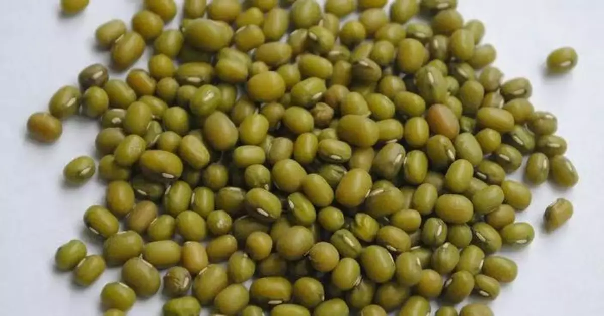 西瓜、綠豆、苦瓜未必人人啱食 中醫：體虛脾弱者慎防愈食愈攰