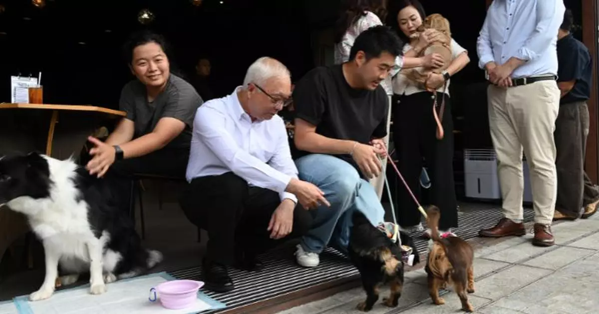 謝展寰指狗狗入食肆新措施反應正面 料最快半年後再接受申請