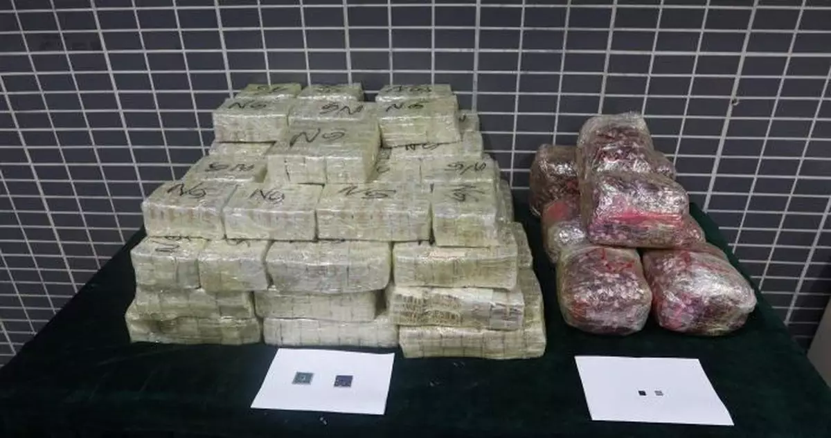 海關出境私家車檢逾22萬粒懷疑走私芯片 約值625萬元兩男被捕