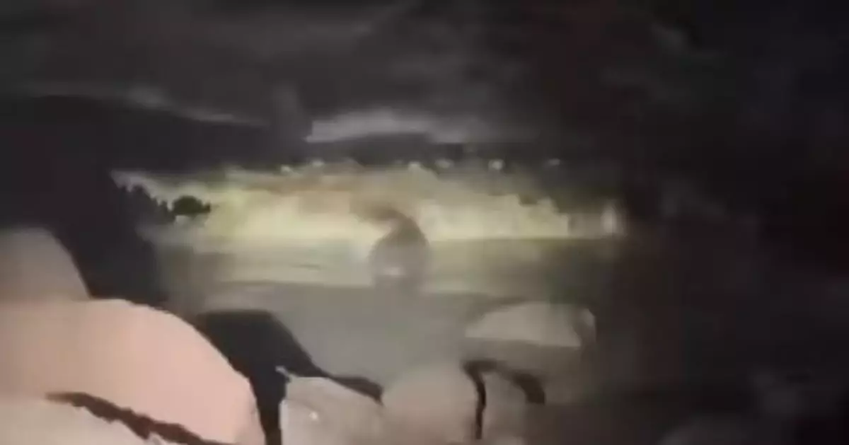 墨西哥海灘傳呼救聲 加州情侶以為有人遇溺 趕至現場驚見巨鱷噬殺1男