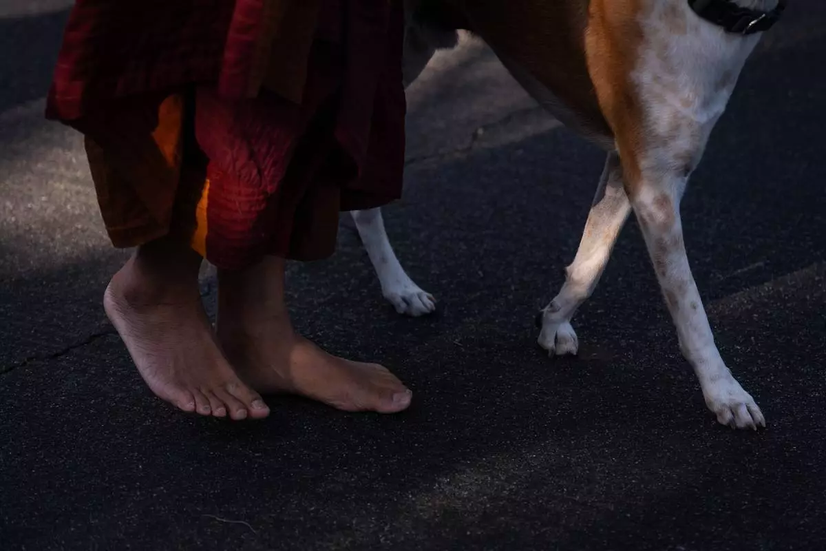 2026年7月13日周一，班納卡尊者及其救援犬阿洛卡步行前往洛杉磯北荷里活區的洛杉磯泰國寺廟。(美聯社圖片/Jae C. Hong) AP圖片
