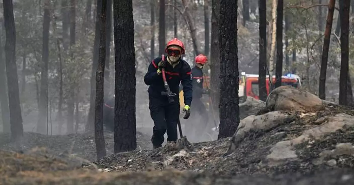 巴黎楓丹白露森林大火疏散千人 西班牙火災確認部分死者身份