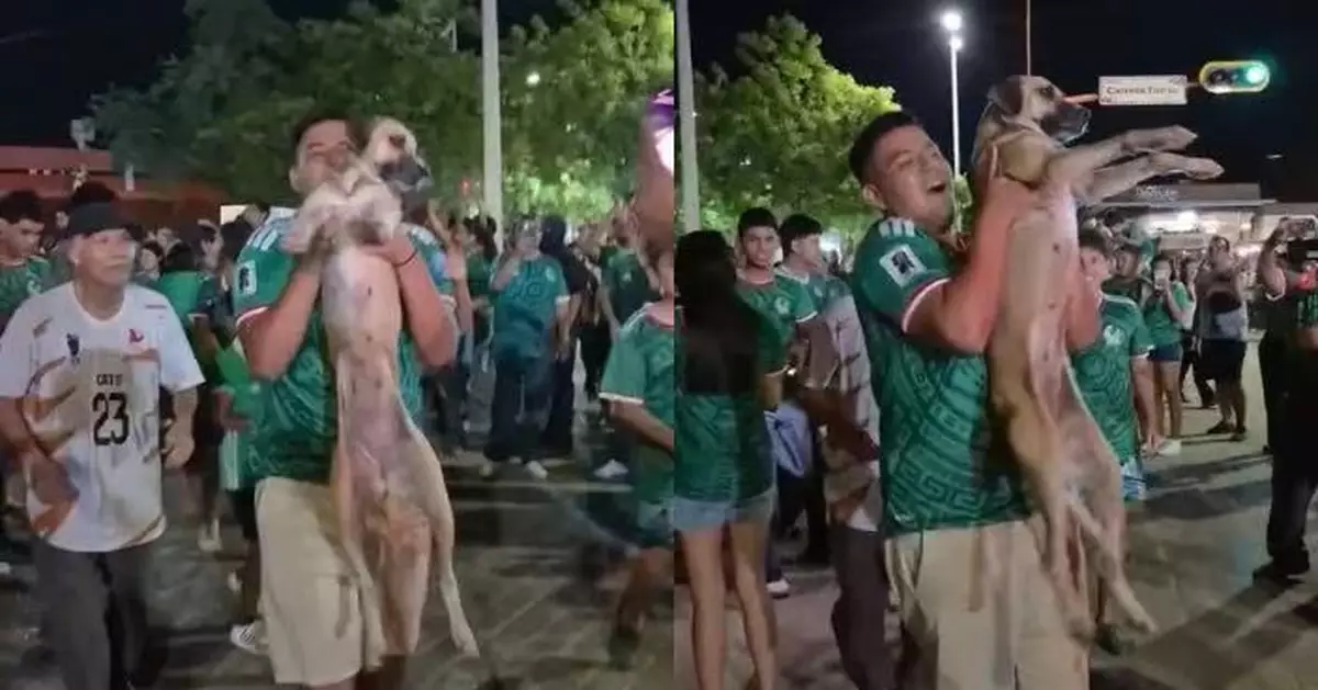 寵物狗失蹤1個月離奇現身世界盃直播 被球迷抱起慶祝 主人急赴現場尋回