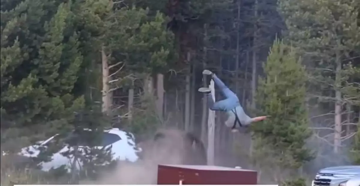 黃石公園野牛撞飛遊客！外遊遇動物襲擊保命三招！