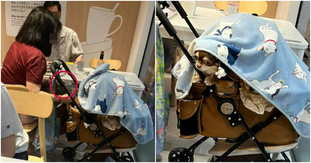 用IKEA餐廳兒童碗餵狗 無品飼主遭圍剿：累咗其他狗主！