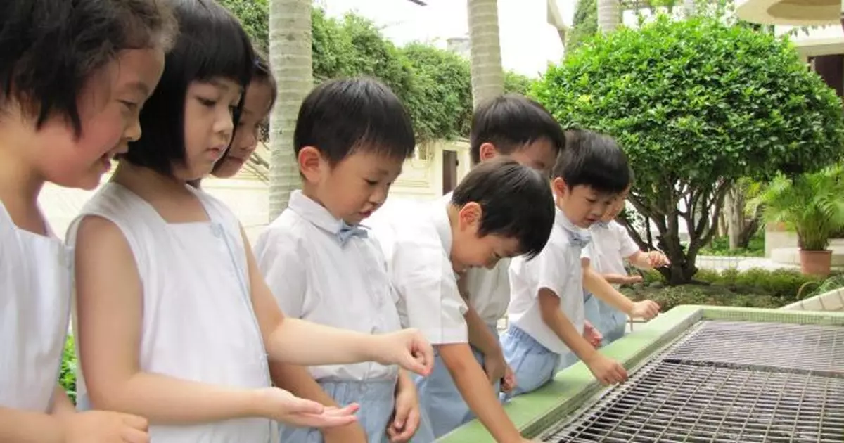 教育局公布最新學生人數統計  幼稚園及小學學生顯著下跌 幼園生十年減近4成