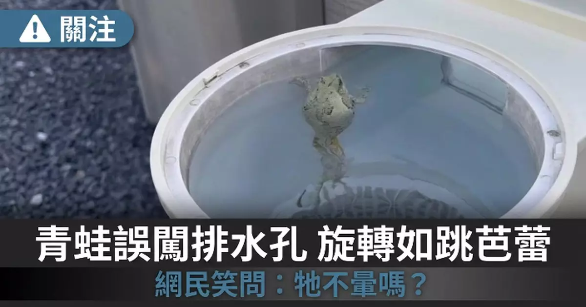 誤闖泳池排水孔 青蛙隨水流狂轉圈如跳芭蕾引網民笑：牠不暈嗎？