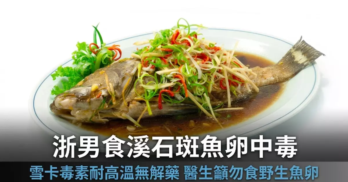 浙男食野生溪石斑魚卵中毒 醫生警告：含雪卡毒素劇毒耐高溫無解藥
