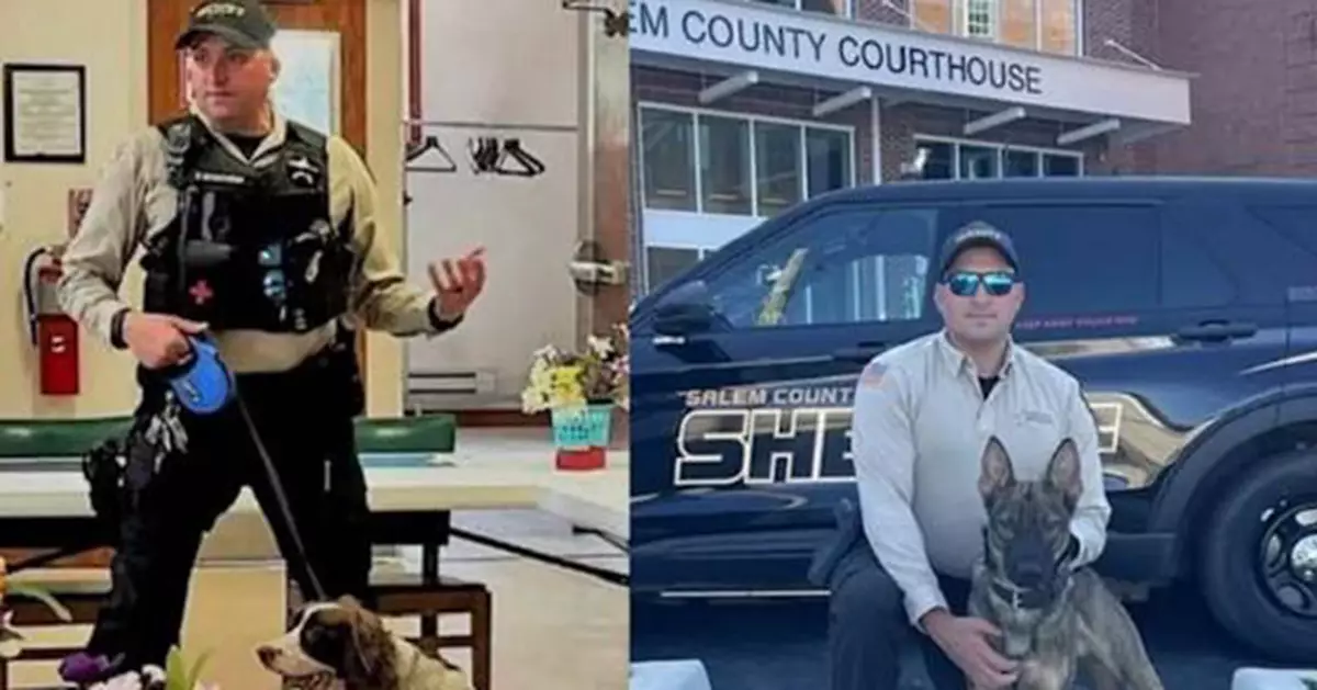 美警員將2隻K-9警犬留高溫車內7小時致熱衰竭雙亡　遭停職起訴