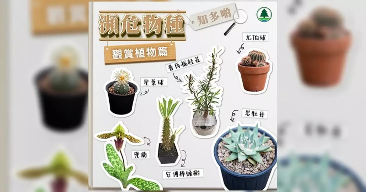 漁護署提醒進出口植物前查清法規 逾3萬種瀕危植物受CITES規管