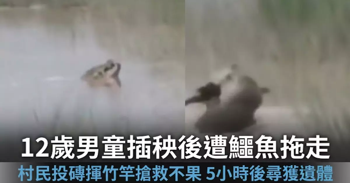印度男童插秧後落河清洗遭鱷魚猛咬拖走 遺體5小時後被尋回