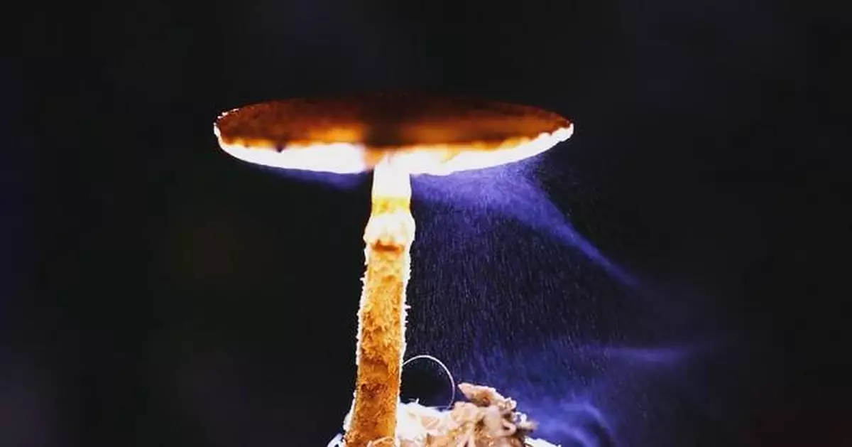 雲南攝影師微距鏡頭捕捉菌類孢子飄散奇妙瞬間