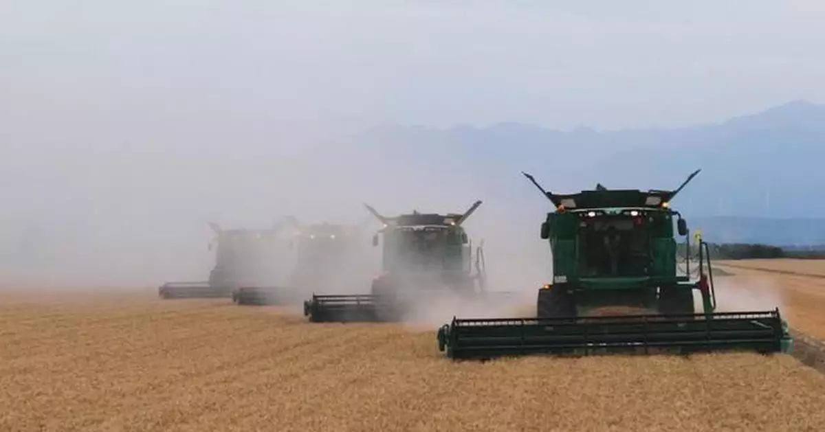 中國夏季糧食收成首次突破1.5億噸