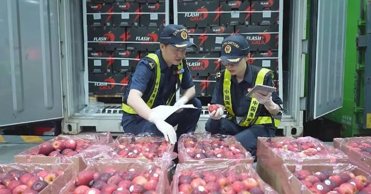 中國對非洲進口急升23.5% 零關稅政策生效