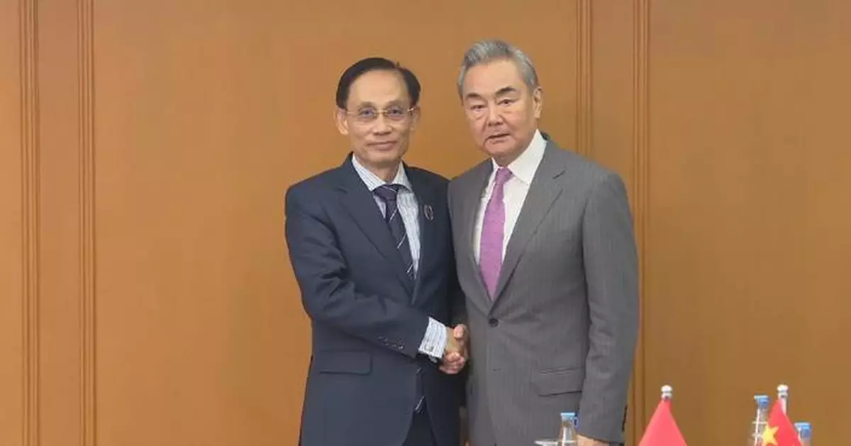 中國外長：中越應加強團結合作