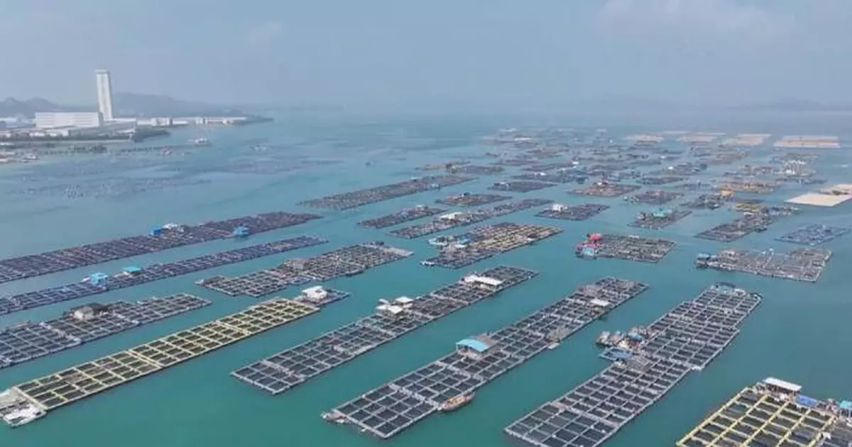 中國沿海省份加強應急措施 應對「紅霞」逼近