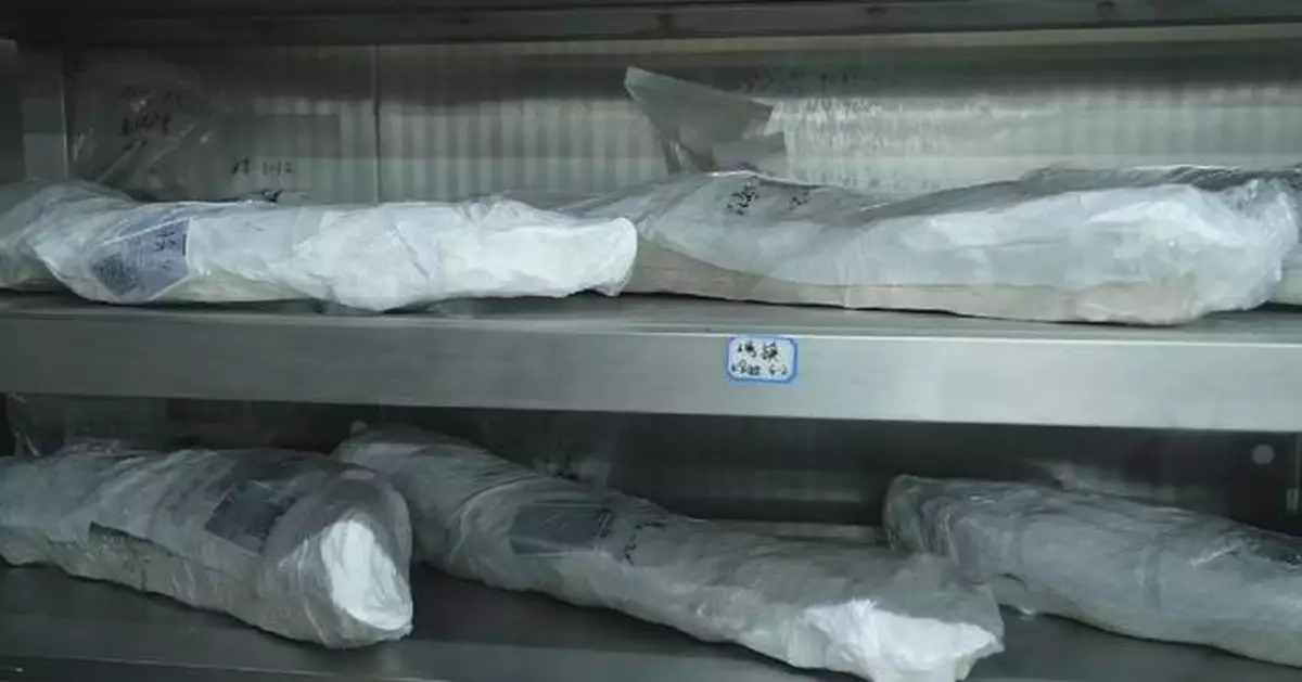 三星堆博物館逾600根象牙遷新儲存設施 提升文物保護水平
