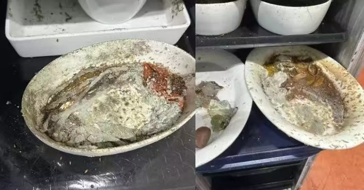 美航空餐公司爆衞生醜聞 員工指餐車藏霉菌蛆蟲及蟑螂 主管要求清洗重用