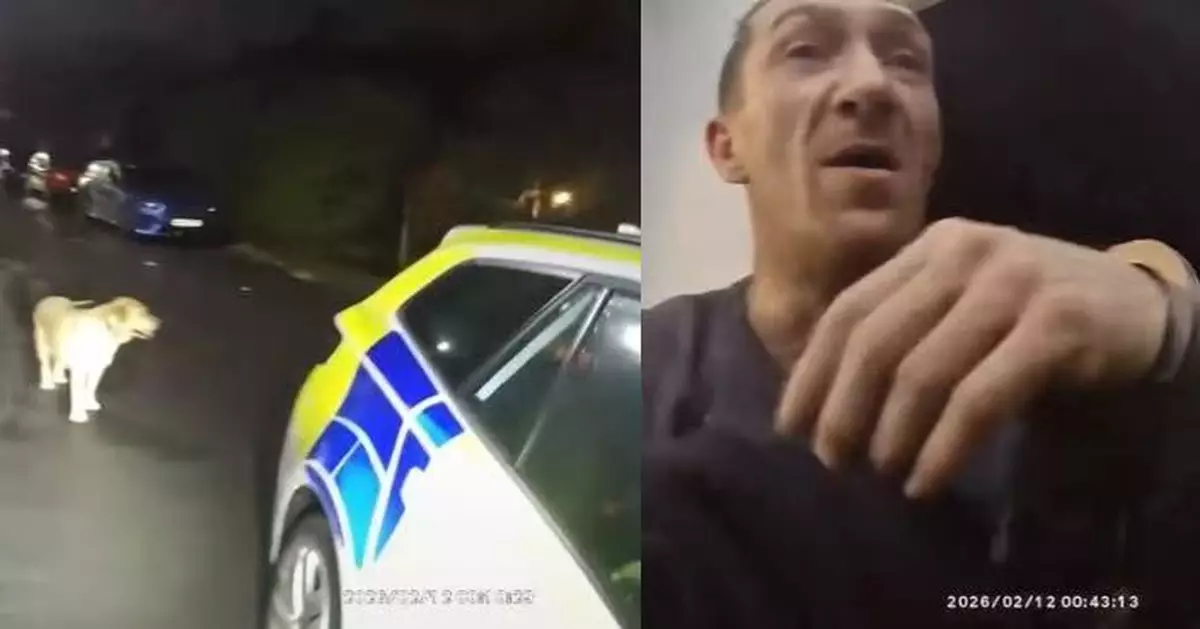 英男疑違法逃避追捕 愛犬遭棄後即「出賣」主人帶警員直搗藏身處