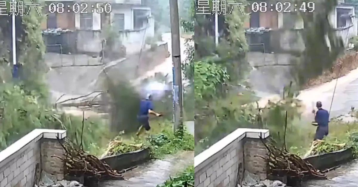 廣西山泥傾瀉近10棵大樹迎頭砸下 6旬翁「凌波微步」連環閃避毫髮無傷
