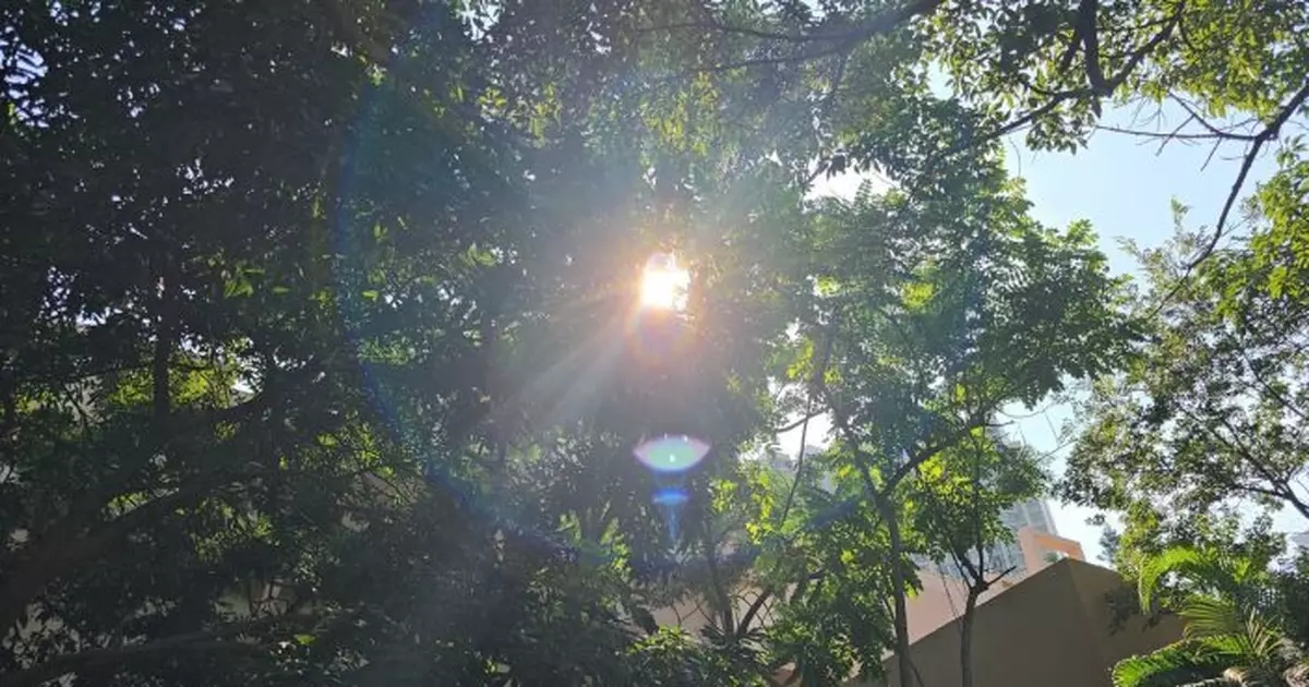 天氣 |  天文台特別天氣提示：局部地區有驟雨 極端酷熱天氣略為緩解
