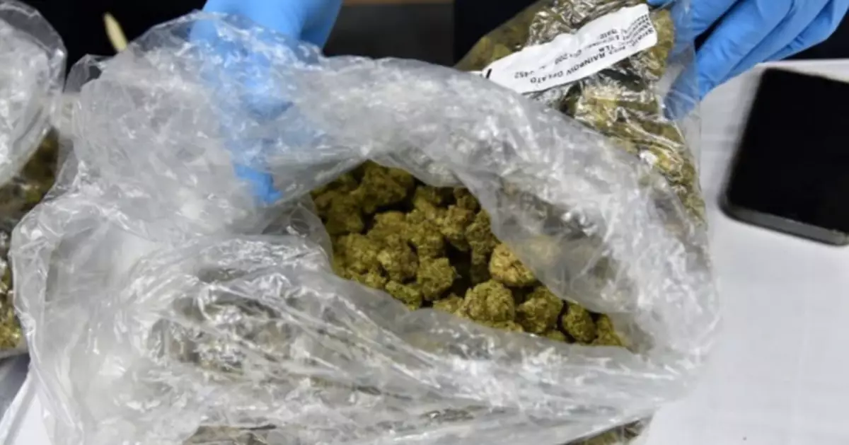 免費泰國度假變糖衣陷阱 法國青年遭利用帶篋出境中伏涉運毒
