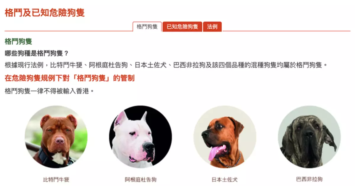 議員：當局應調查有否格鬥狗涉混種或走私　獸醫建議藉DNA測試確定品種