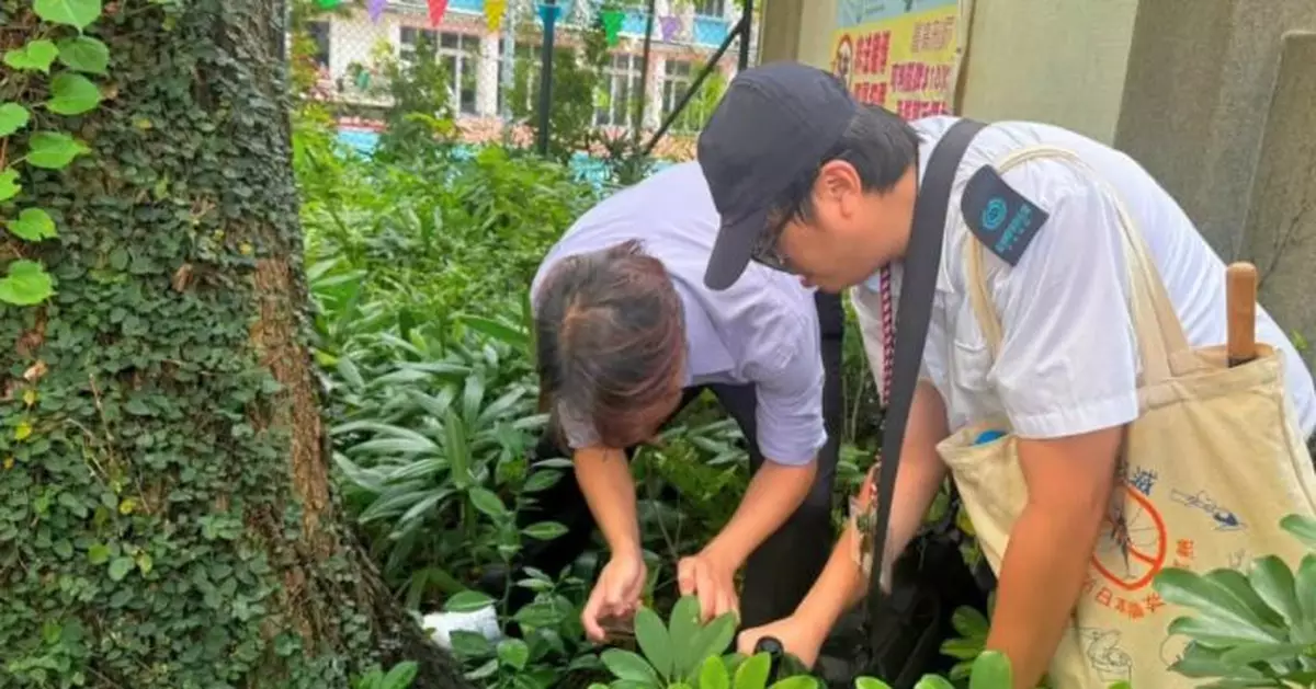食環署公布八月份第五批白紋伊蚊誘蚊器指數 上環及西營盤蚊患指數最高