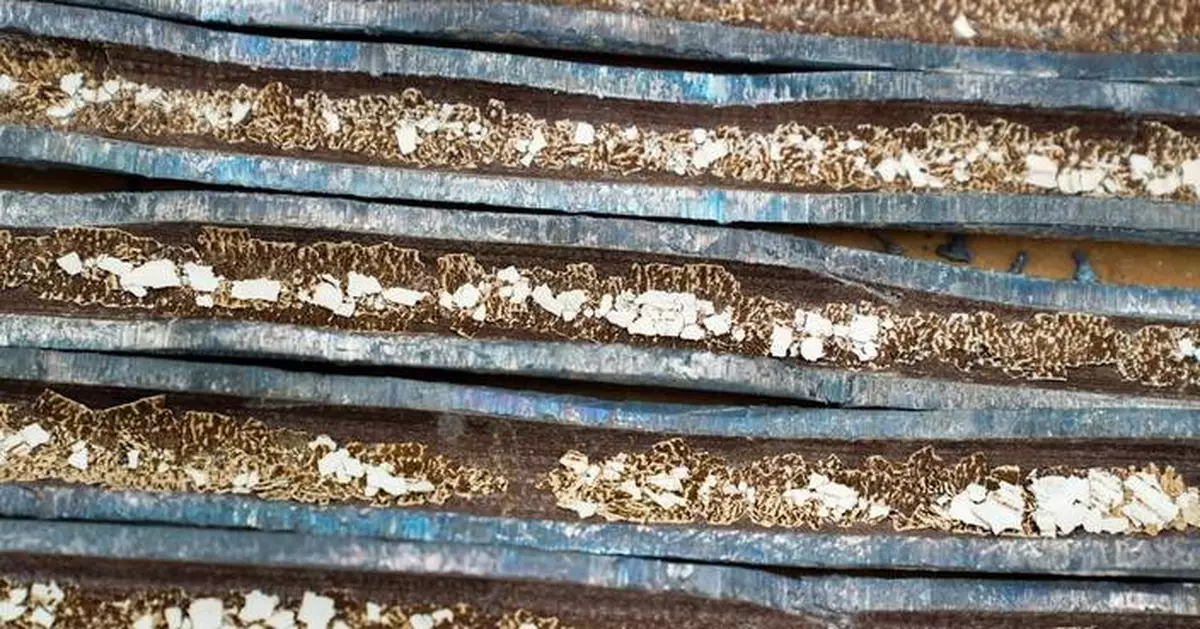 密歇根州總檢察長發布弗林特水危機報告 稱已盡問責職責