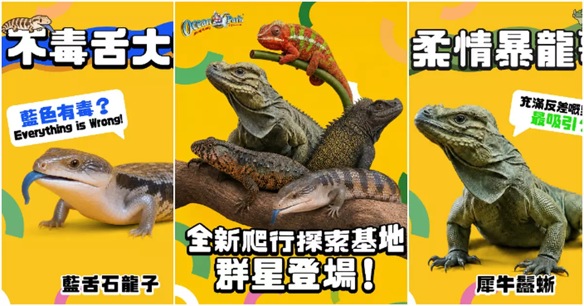 海洋公園新展館「爬行探索基地」周五登場 雲集各地珍貴爬行類動物