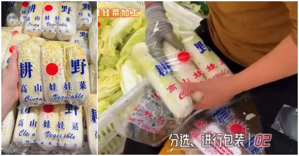 娃娃菜包裝「不解之謎」終揭開   網民揭：全靠工人徒手高速「夾硬塞」
