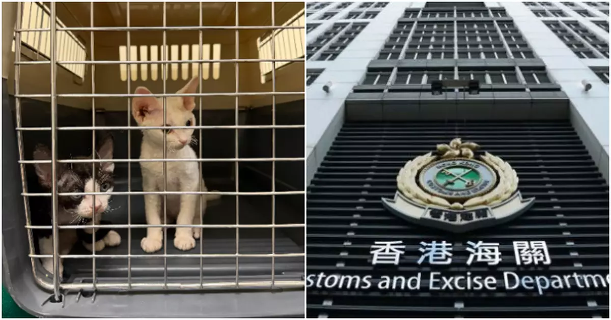 海關落馬洲截查54歲抵港內地男旅客  個人行李內檢兩隻非法進口活貓