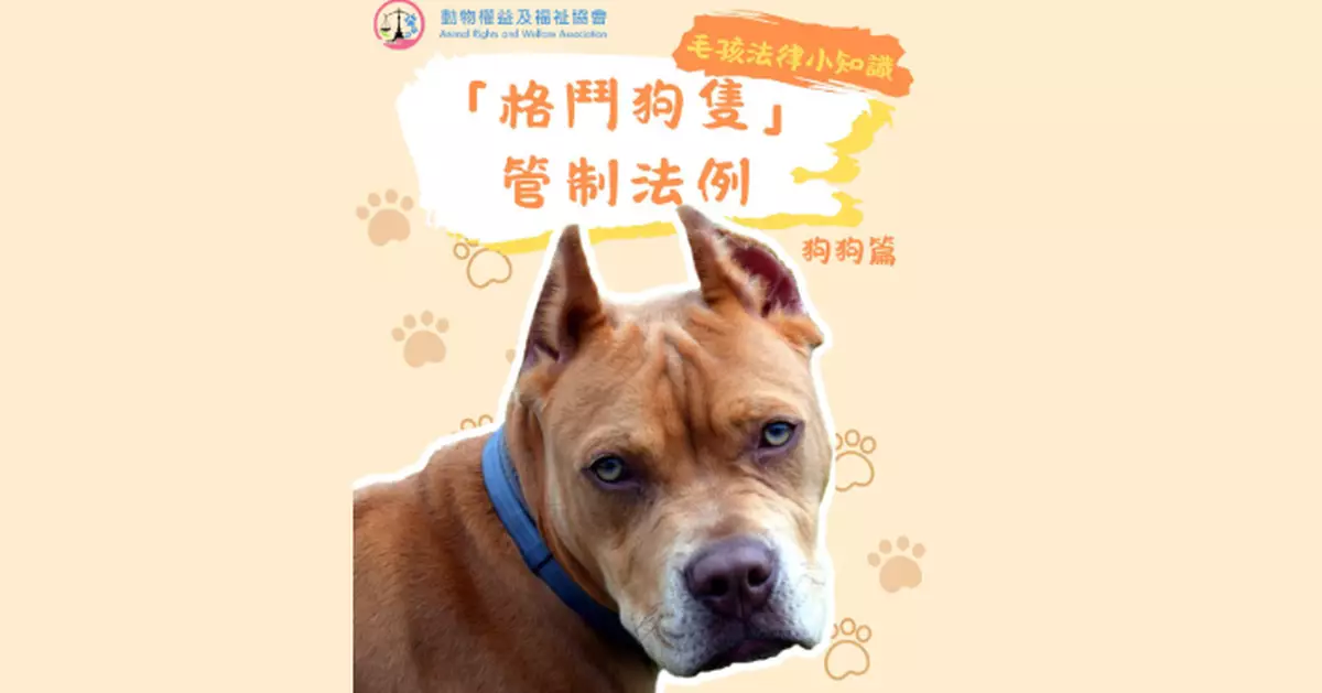 漁護署：再接疑未登記格鬥犬個案　已上門視察並帶走進一步鑑定觀察