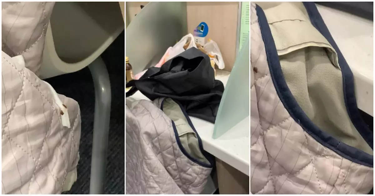 港男新蒲崗自修室驚見床蝨「一家大細」爬老伯外套　網民：千祈唔好帶返屋企