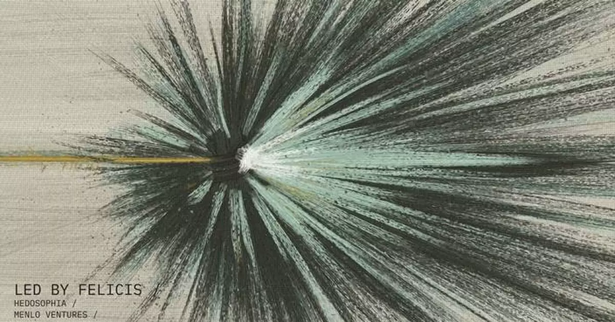 Heaviside 工業公司與南莫合作 獲6000萬美元B輪融資