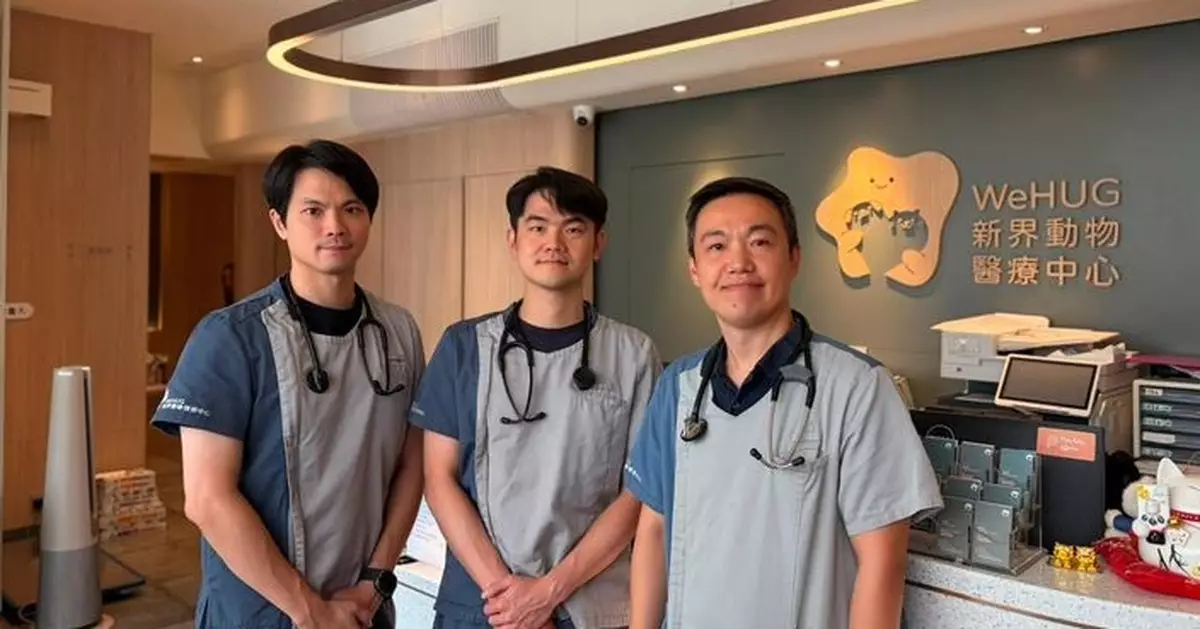全港首宗犬隻微創心臟手術成功 10歲松鼠狗經微創修復瓣膜重拾活力