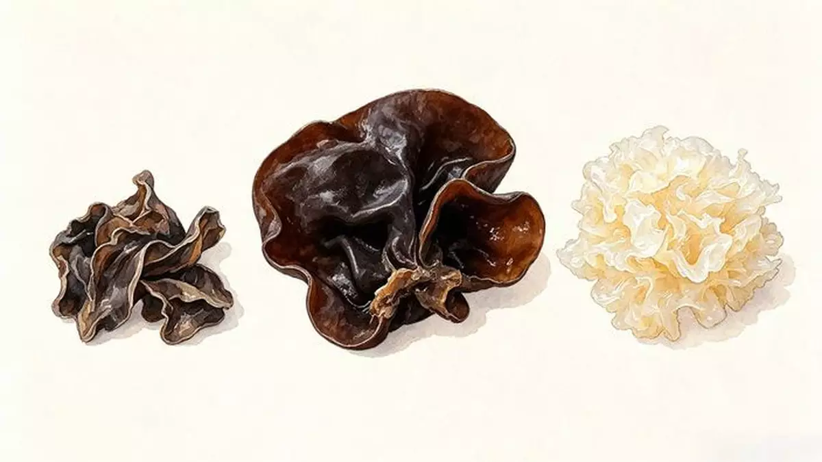 雲耳、木耳同雪耳，究竟點解有毒? 點煮先安全?