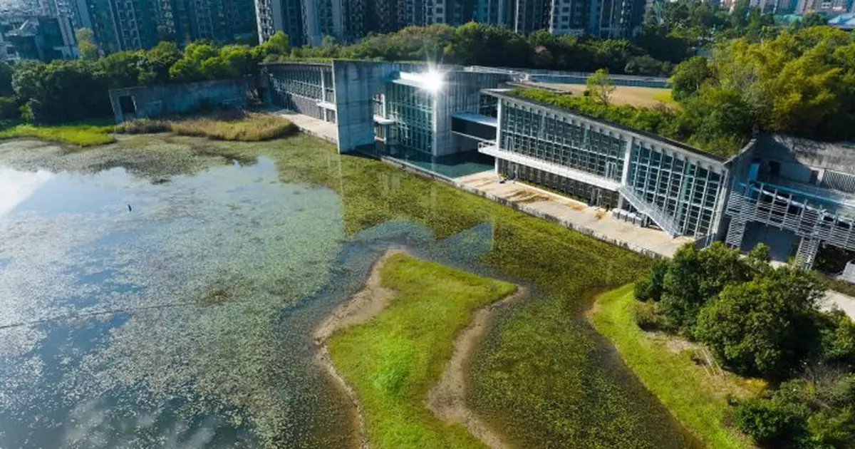 8.15全國生態日政府推多項活動優惠　濕地公園免費開放