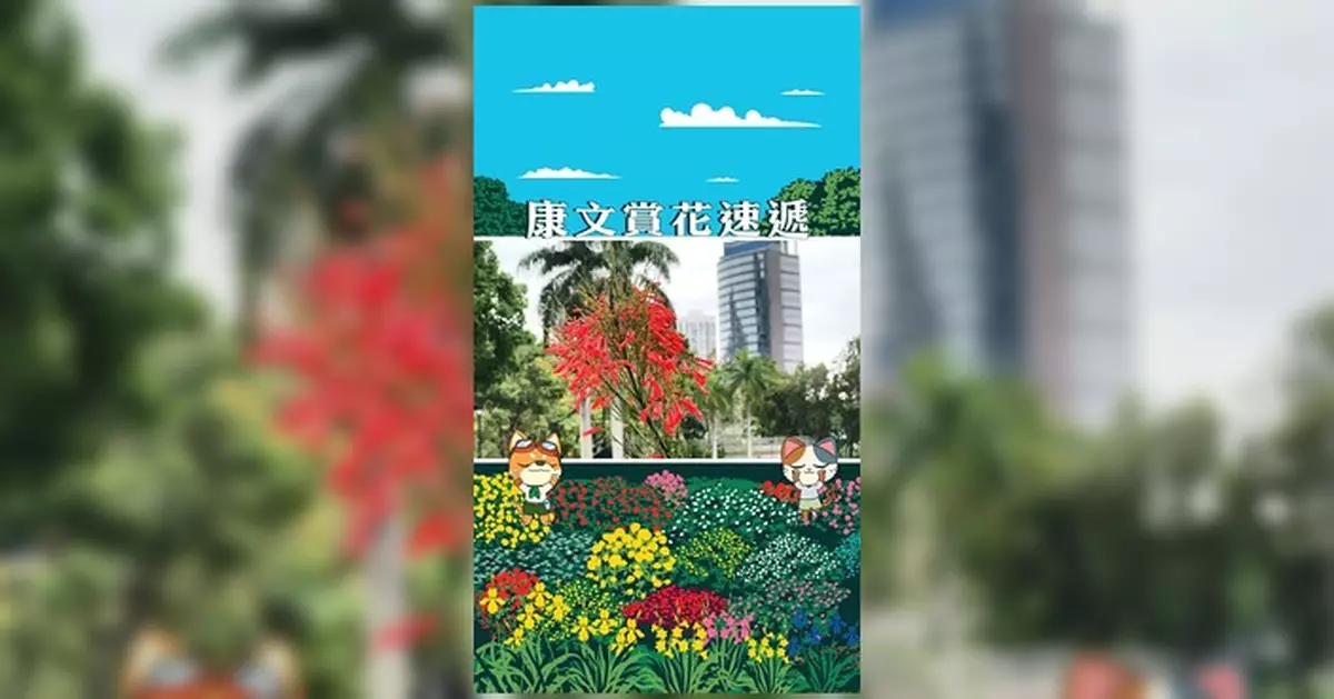 康文署介紹盛夏爆仗竹 橙紅花朵狀如細長鞭炮