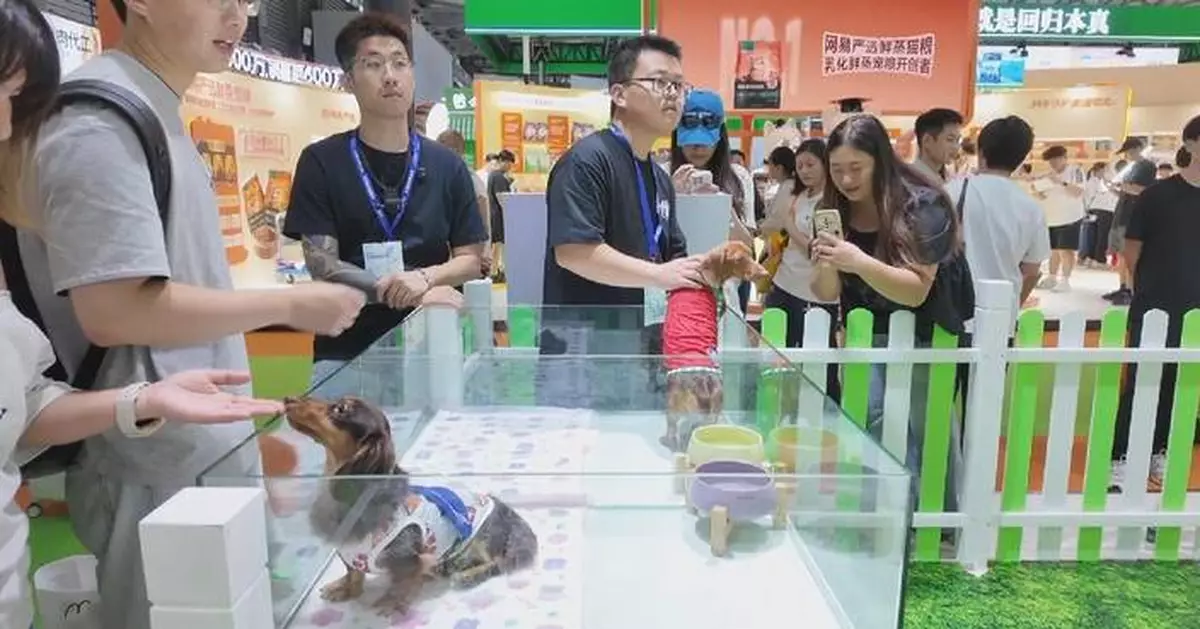 2026年亞洲寵物展聚焦中國智能寵物護理創新