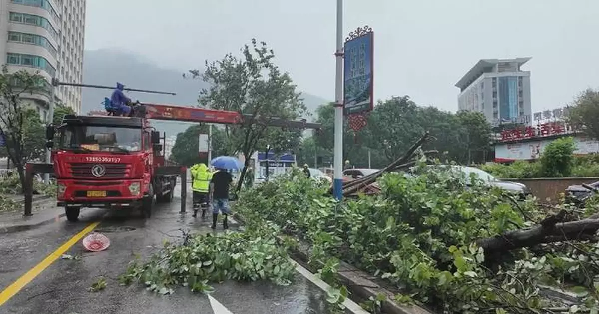 華東寧德市清理颱風沙德爾災情 暴雨狂風致樹木倒塌水浸