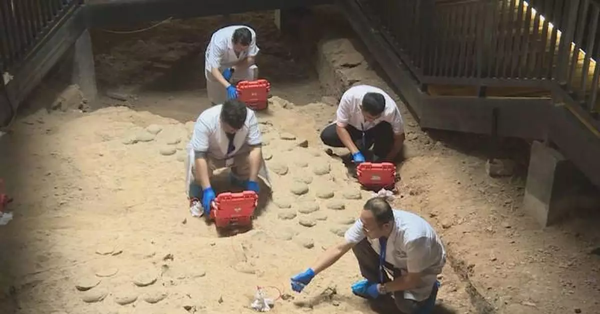 湖北恐龍蛋遺址全球首次「心電圖」式探測 無需挖掘揭地底奧秘