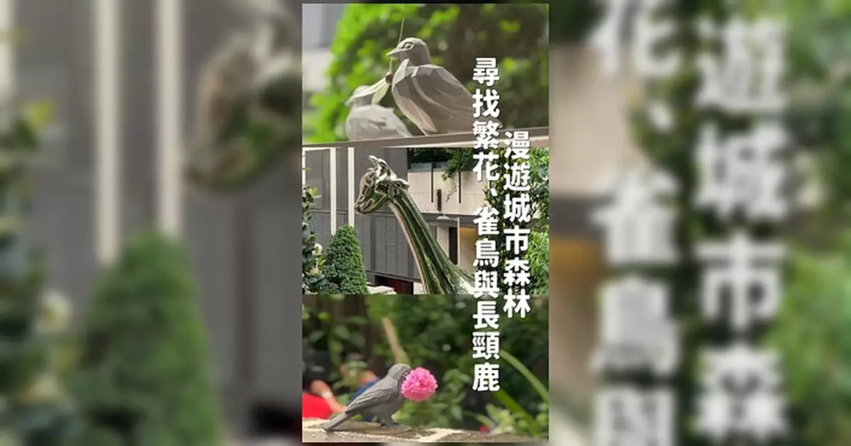 「城市森林」藝術裝置登陸中環嘉咸館 長頸鹿小鳥進駐社區添打卡點