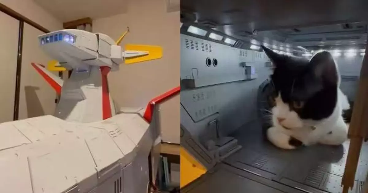 日本模型迷自製《高達》戰艦模型 完工即遭愛貓佔領變秘密貓窩