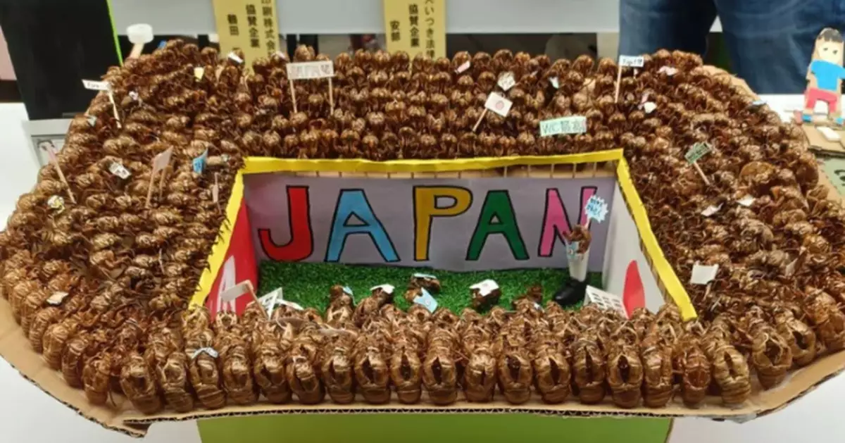 用蟬蛻砌「世界盃」足球場暗藏諧音梗 日本小學創意暑假作品勇奪市長獎