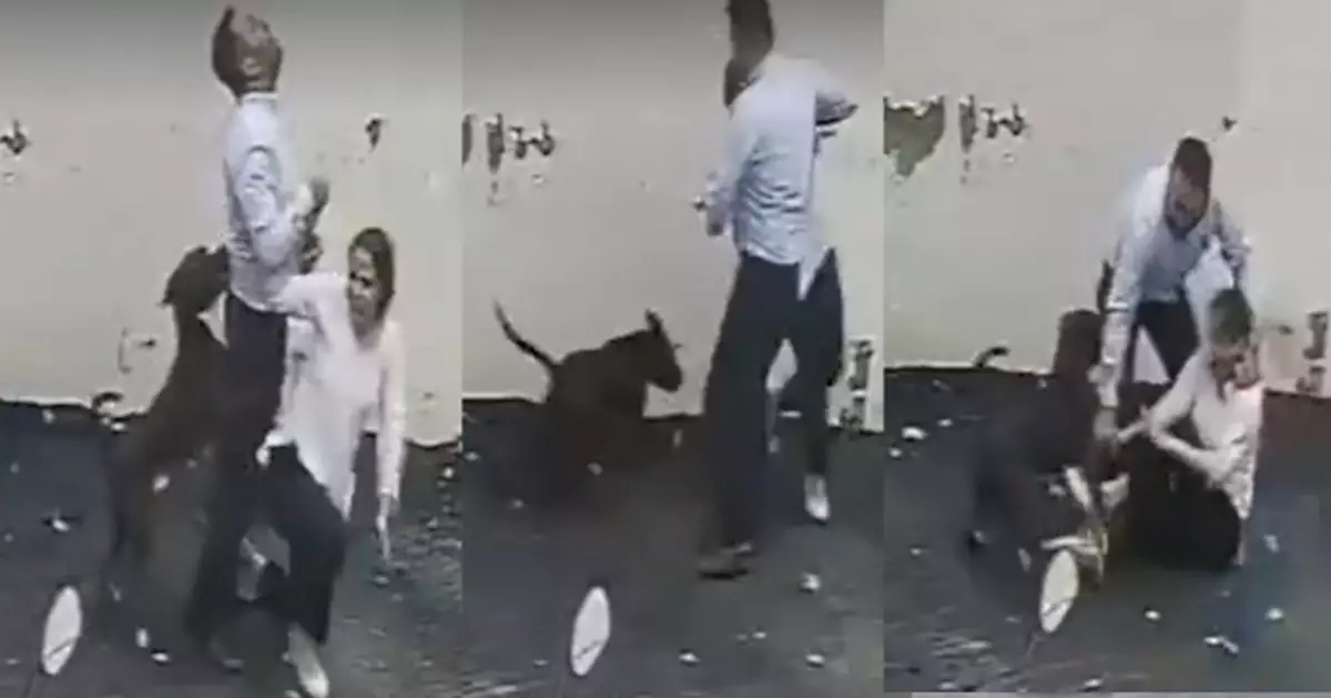 印度夫婦睇樓突遭比特犬襲擊 妻子遭撲倒重傷 丈夫上前護妻同被咬