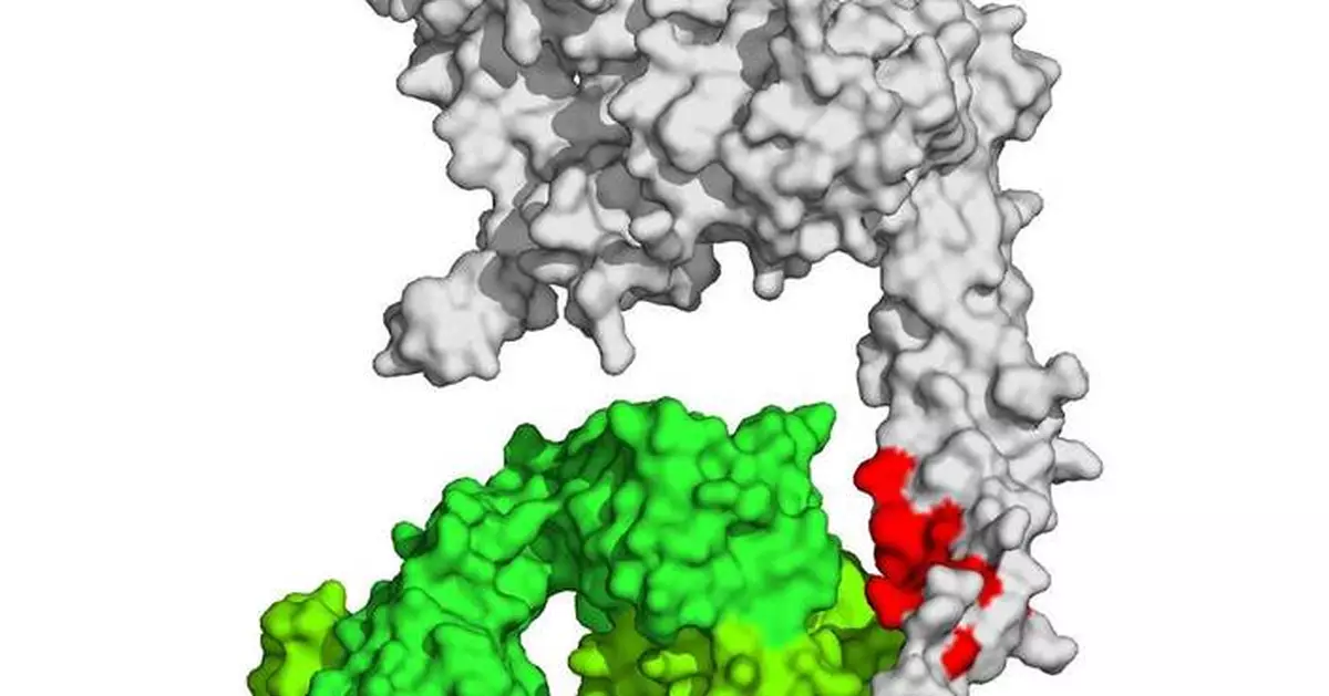 布魯克推功能蛋白質組學新進展 助藥物研發及疾病研究